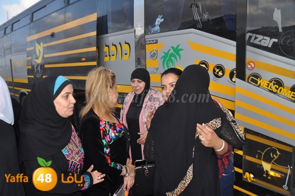 mo3tmreen plane (75).JPG